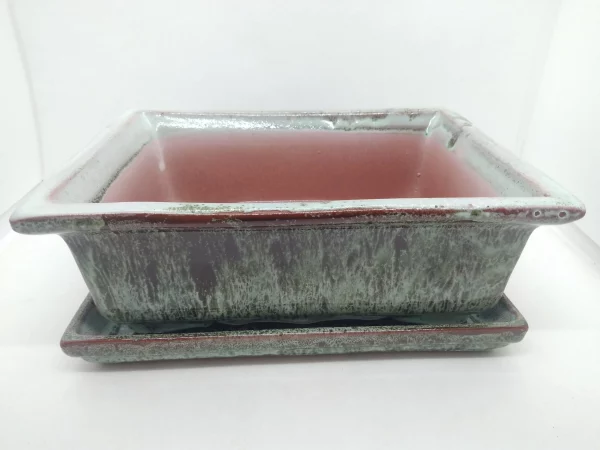 Macetas para bonsai